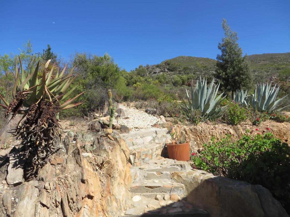 فندق Bo Kouga Mountain Retreat Ongelegen المظهر الخارجي الصورة
